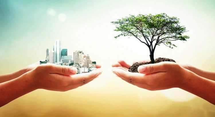 Sustentabilidade